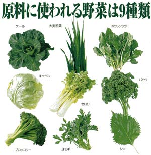 朝摘み青汁 緑の小粒 資料