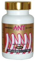 ANT エイエヌティー