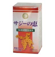 サジーの恵 240粒